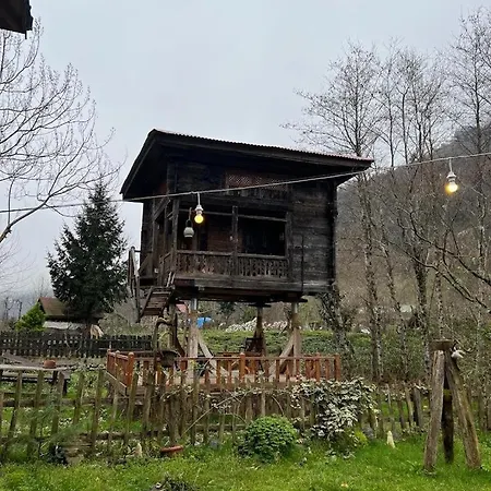 Zeni De Vore Serender & House Rize