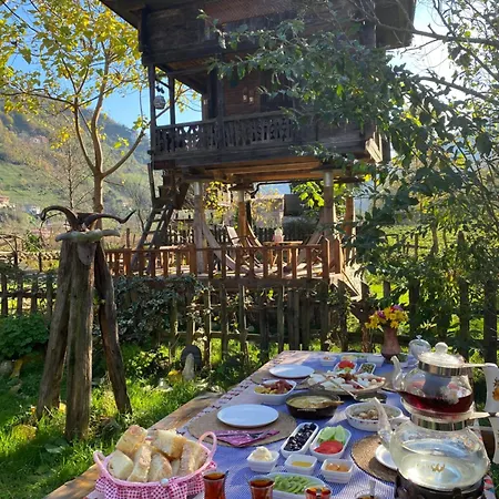Aparthotel Zeni De Vore Serender & House